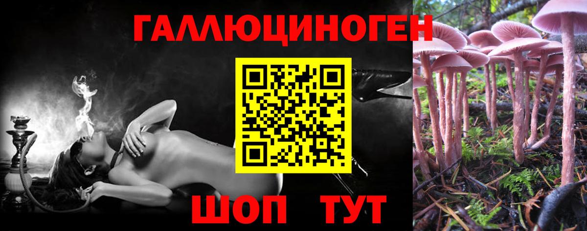 Псилоцибиновые грибы Psilocybe Выкса