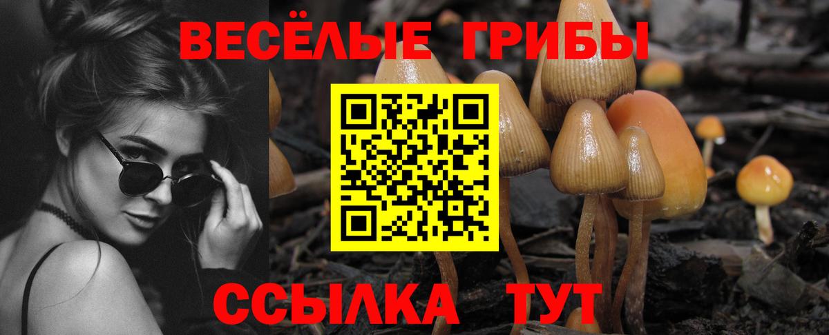 Выкса  Псилоцибиновые грибы прущие грибы  Галлюциногенные грибы GOLDEN TEACHER  Вход с VPN 